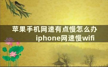 苹果手机网速有点慢怎么办 iphone网速慢wifi